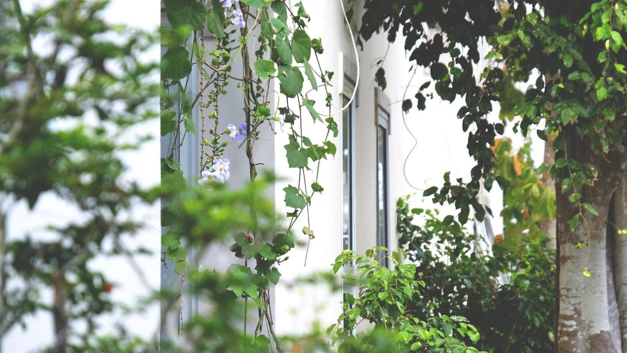 Vila Basi Nguyet Hang Extérieur photo